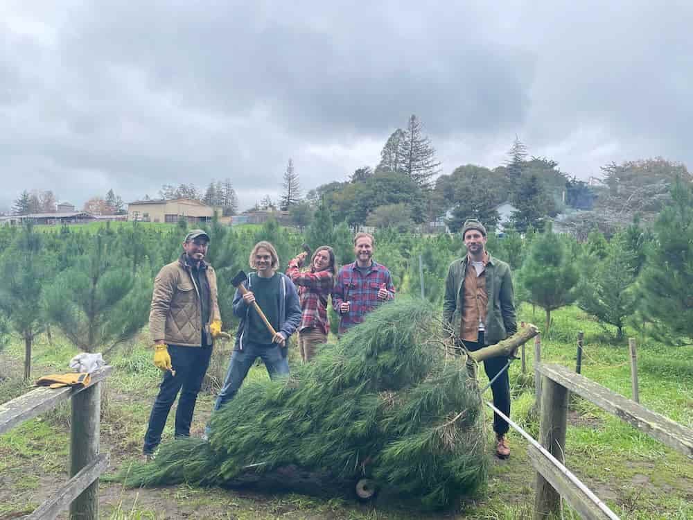 Five team members with the freshly cut holiday tree.