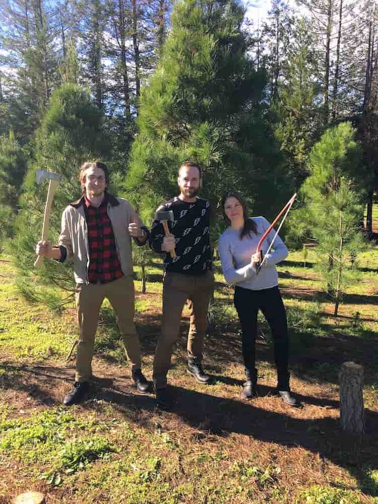Trio with axes and a saw to cut the Digital Foundry holiday tree.