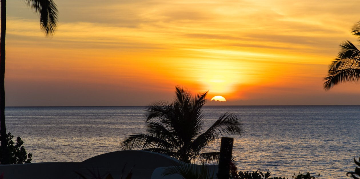 Palm tree and sunset view in Maui.